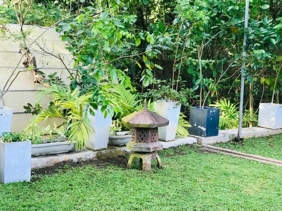 Ceylon Kingsmen Garden Hotel - Katunayake Negombo Ngoại thất bức ảnh