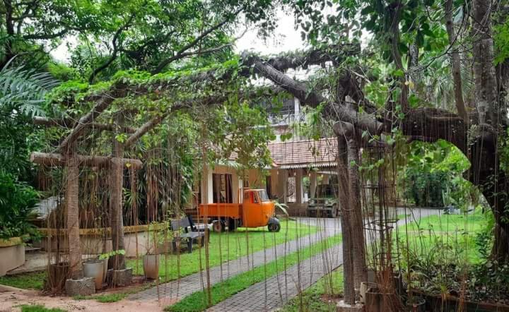 Ceylon Kingsmen Garden Hotel - Katunayake Negombo Ngoại thất bức ảnh