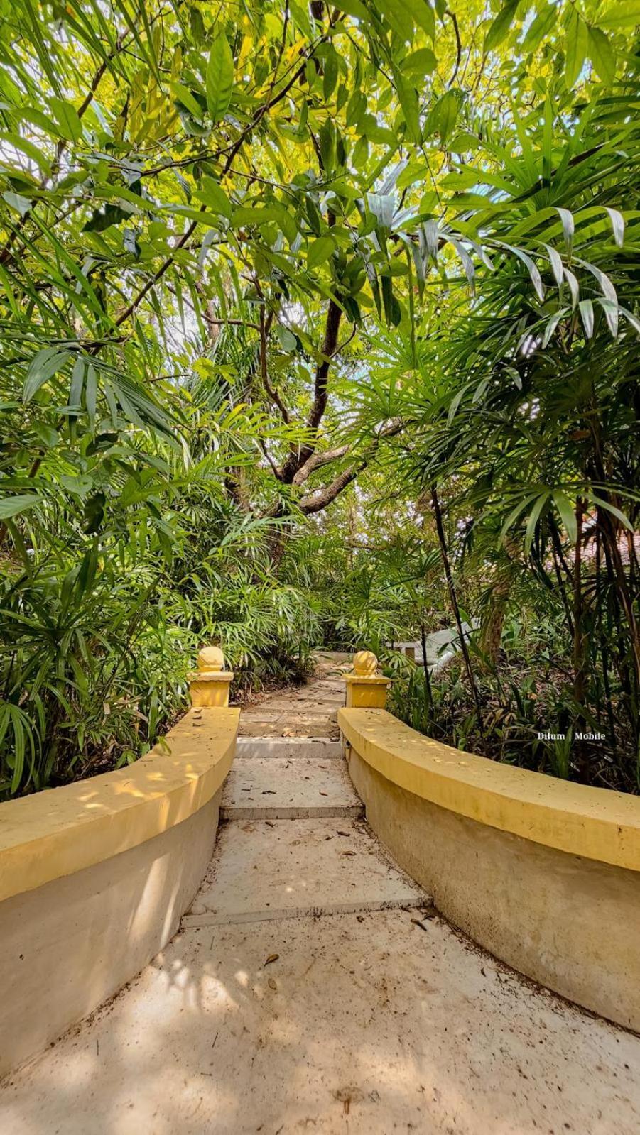Ceylon Kingsmen Garden Hotel - Katunayake Negombo Ngoại thất bức ảnh