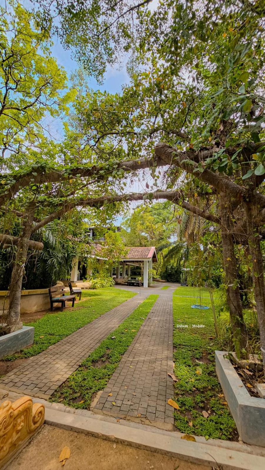 Ceylon Kingsmen Garden Hotel - Katunayake Negombo Ngoại thất bức ảnh